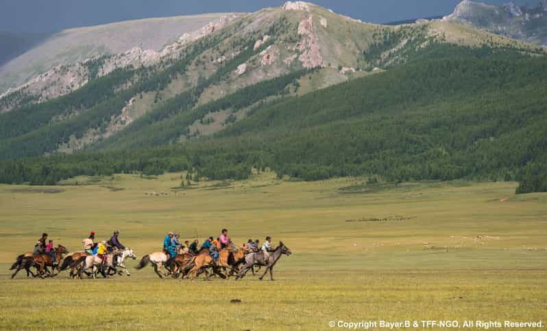 Terelj National Park: Tour with horse riding and hiking - Key highlights at a glance