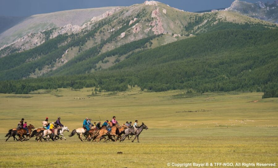 Terelj National Park: Tour with horse riding and hiking - Getting Out of Ulaanbaatar: The Drive That Sets the Tone for Terelj