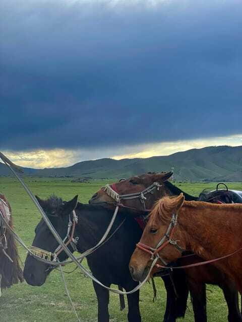 Terelj national park transport /Best price tour - Zaisan Hill viewpoint: your first big panorama of Ulaanbaatar