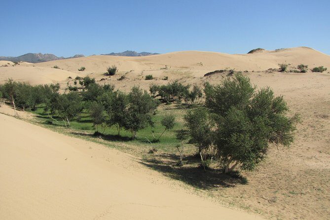 The Best of Central Mongolia Tour in 5 Days - Kharkhorin’s Kharakhorum Museum: history between big open skies