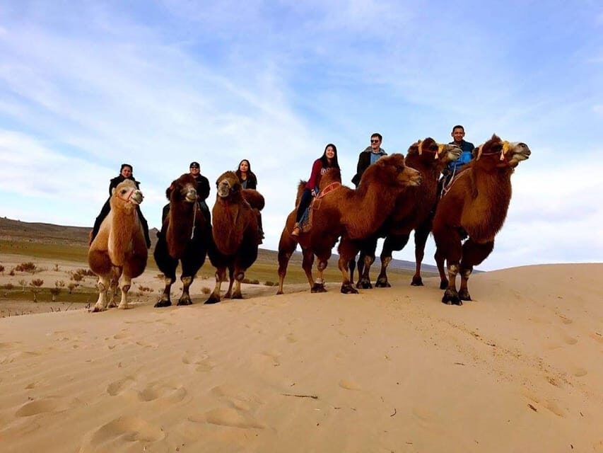 Ulaanbaatar: Semi-Gobi Desert Day Trip & Camel Ride - Who Should Book This Semi-Gobi Tour—and Who Should Skip