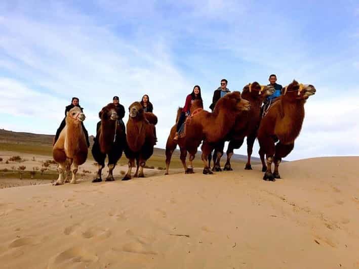 Ulaanbaatar: Semi-Gobi Desert Day Trip & Camel Ride - Camel (or Horse) Ride: The Short, Scenic Silk Road Feeling