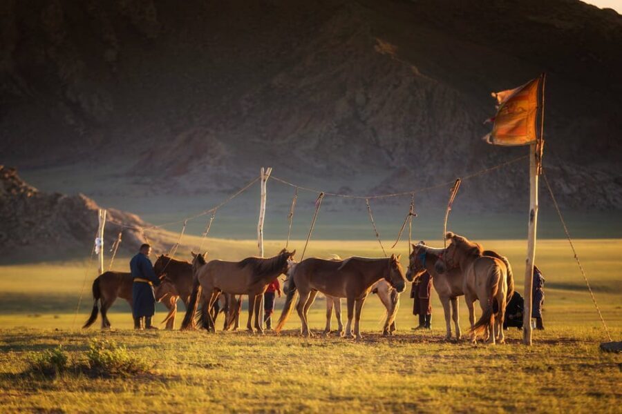 Ulaanbaatar: Semi-Gobi Desert Day Trip & Camel Ride - Nomad Family Visit: Culture You Can See and Ask About