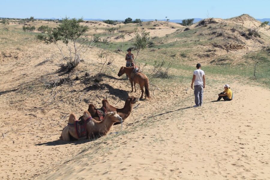 Ulaanbaatar: Semi-Gobi Desert Day Trip & Camel Ride - Guide and Driver: Why English Support Matters on a Long Day