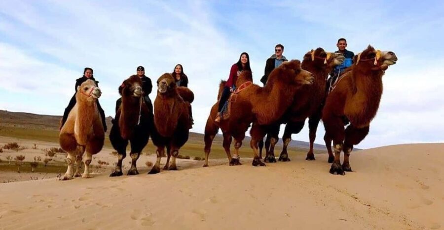 Ulaanbaatar: Semi-Gobi Desert Day Trip & Camel Ride - Price and Value: What $175 Buys (and What It Doesn’t)